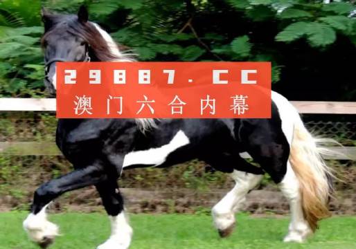 澳门与香港一肖一码一中一肖l|词语释义解释落实