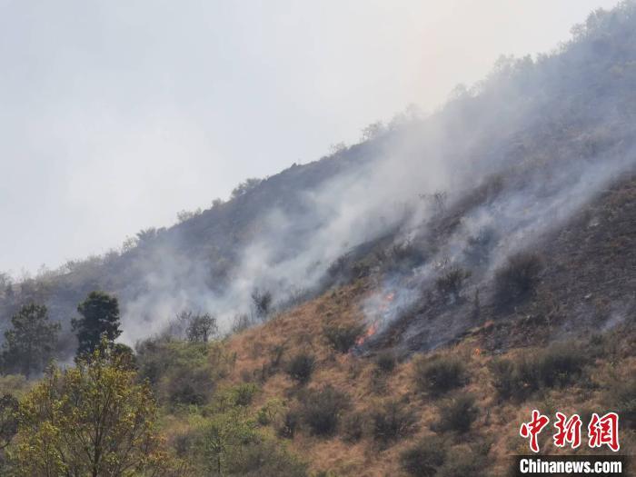 禄劝最新火灾，灾难背后的反思与应对之道