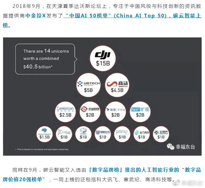 张开凤的最新动态与影响，探索前沿领域的引领者