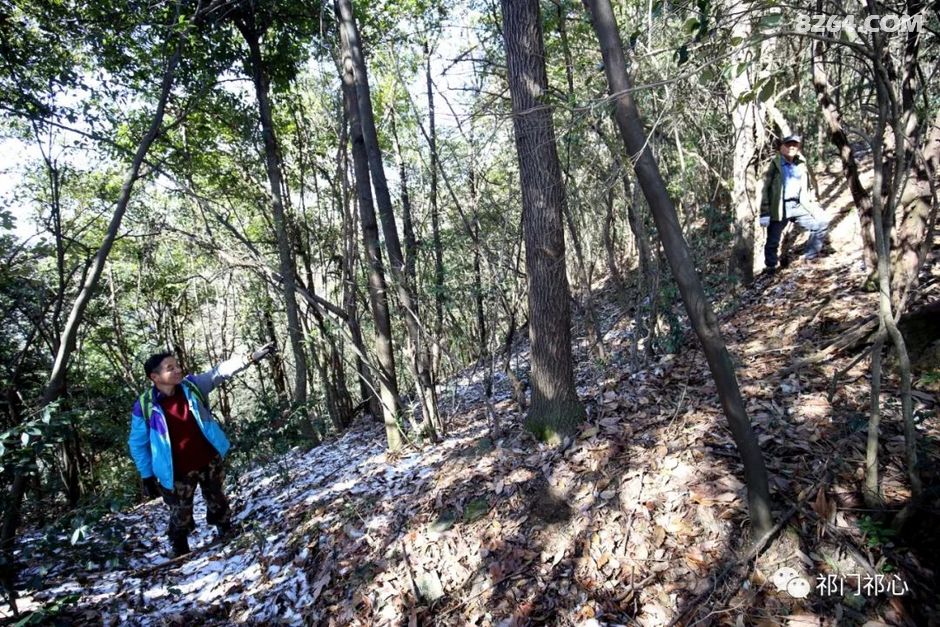 不老山最新动态，揭开神秘面纱下的新面貌