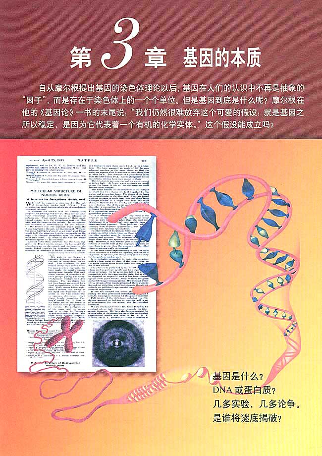 基因本质的最新探索与理解