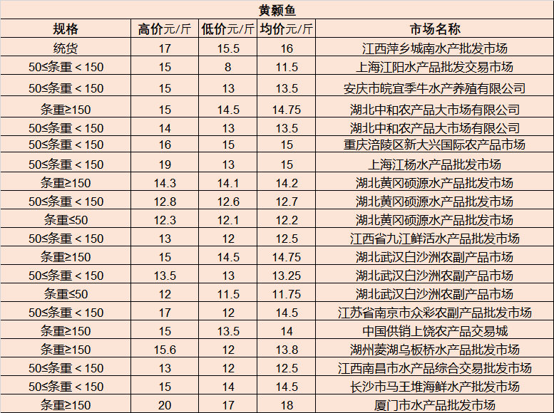 探索5姑娘的最新风采