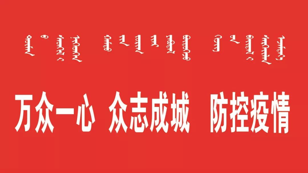 长春疫情最新动态，城市坚韧应对挑战，共筑健康防线