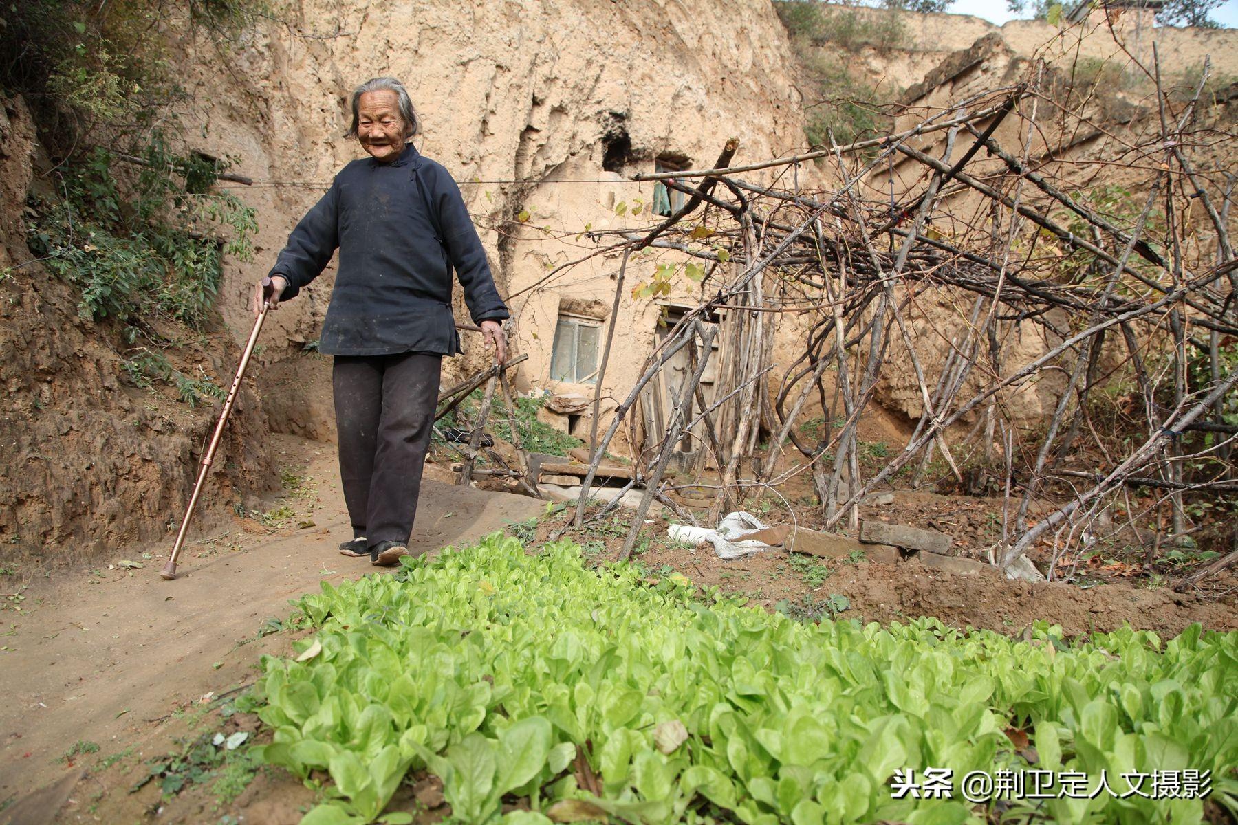 山西最新气温，深度解读与影响分析