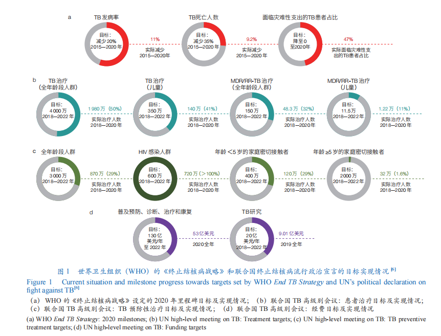 肺病最新报告，现状、挑战与未来展望