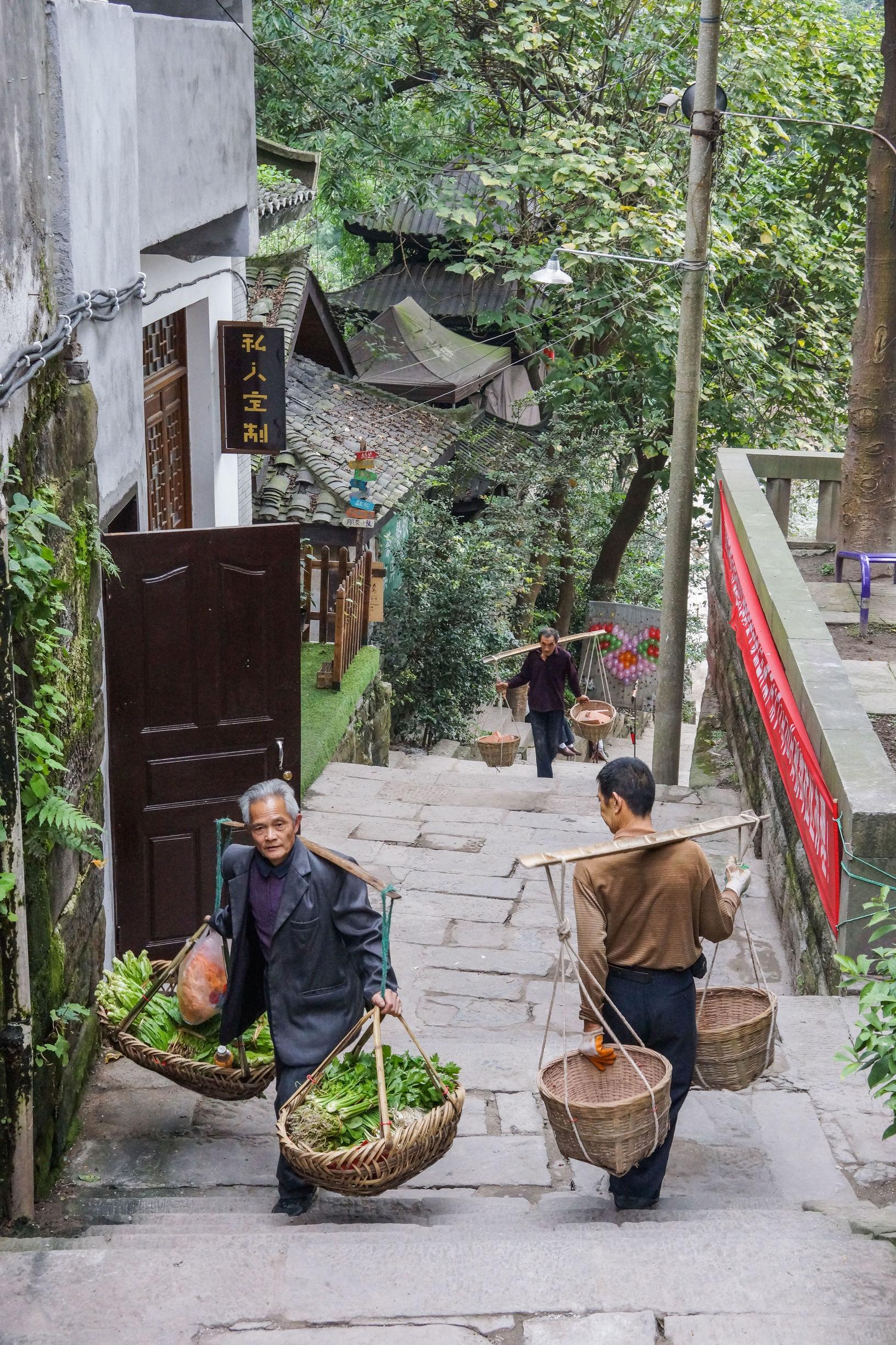 最新重庆游，探索山城魅力的绝佳之旅