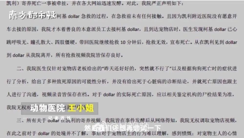 上海溺死事件最新报道，悲剧背后的警示与反思